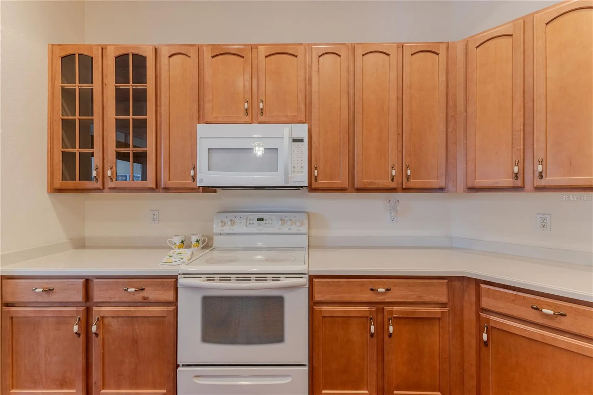 239 Longleaf Court Spring Hill FL 34609