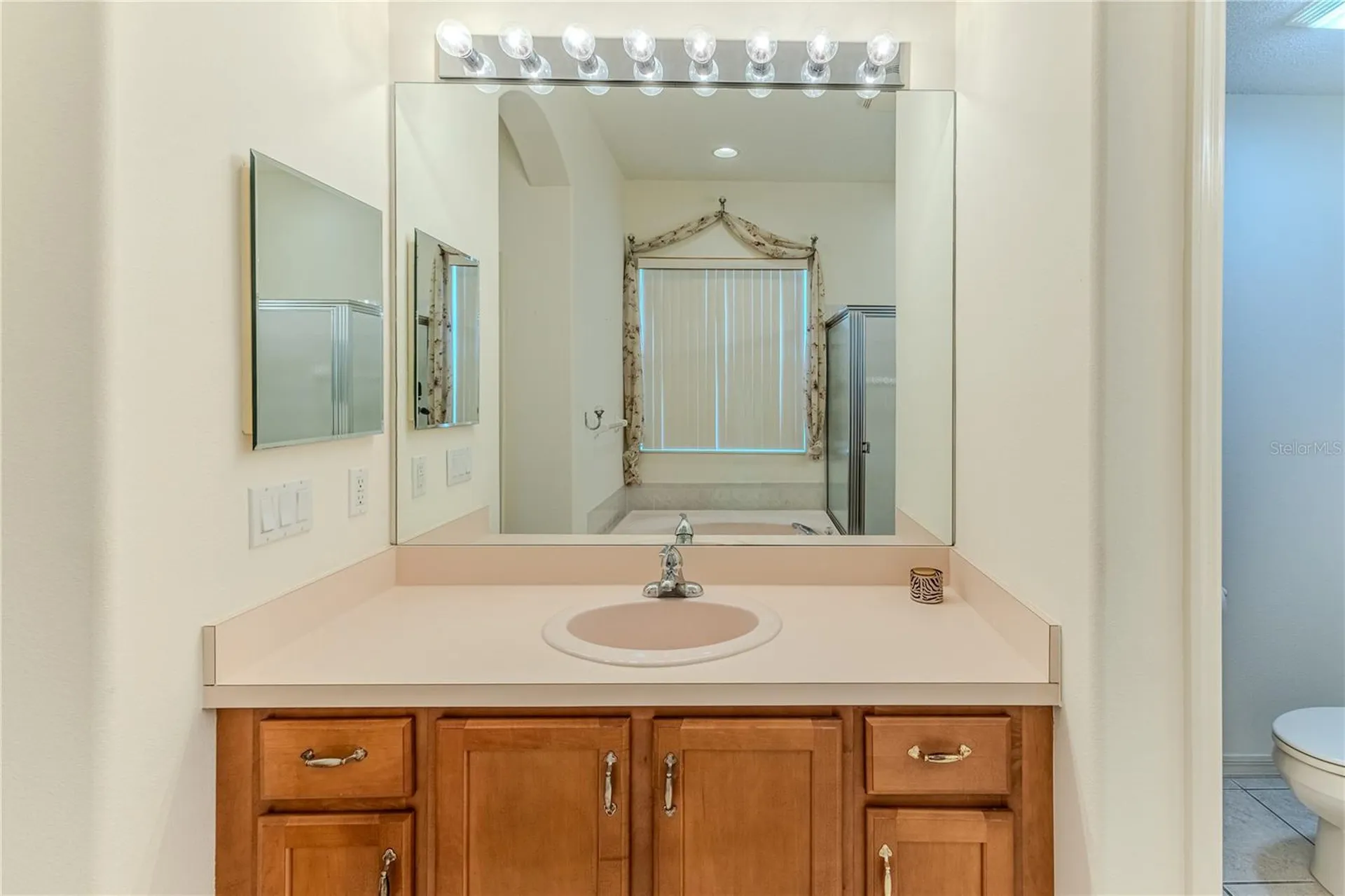 239 Longleaf Court Spring Hill FL 34609