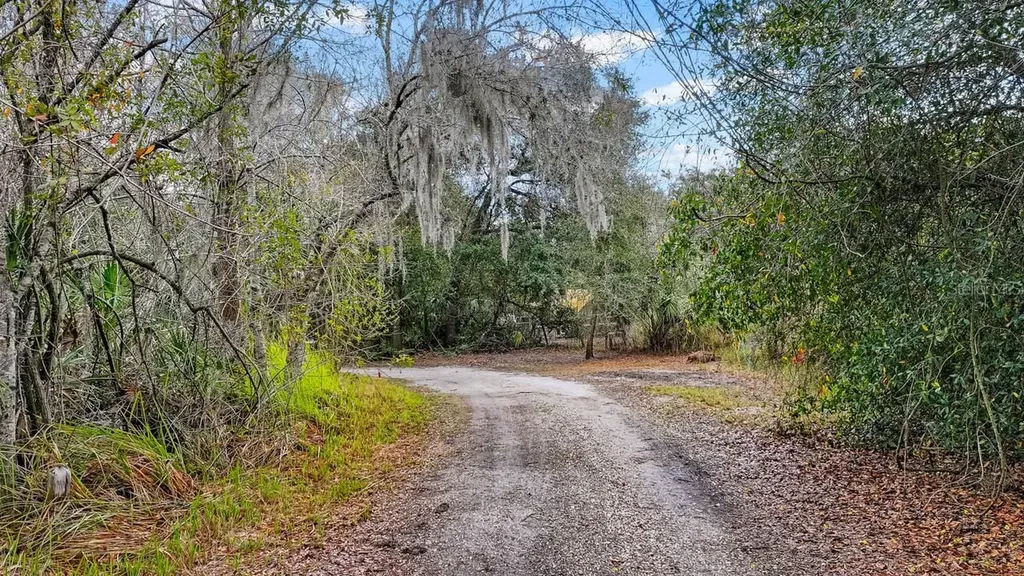 12730 Bullfrog Creek Road Gibsonton FL 33534