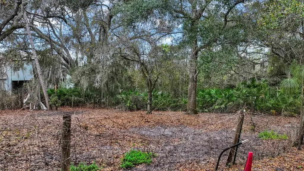 12730 Bullfrog Creek Road Gibsonton FL 33534