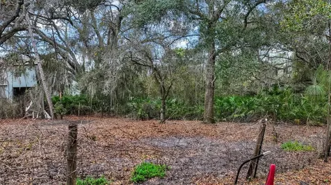 12730 Bullfrog Creek Road Gibsonton FL 33534