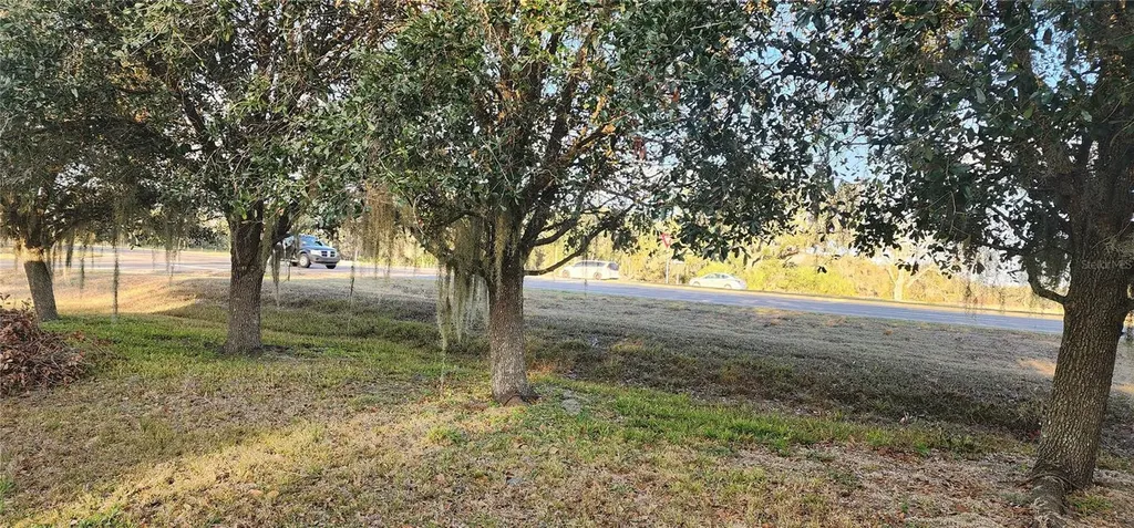 107 College Lane Zolfo Springs FL 33890