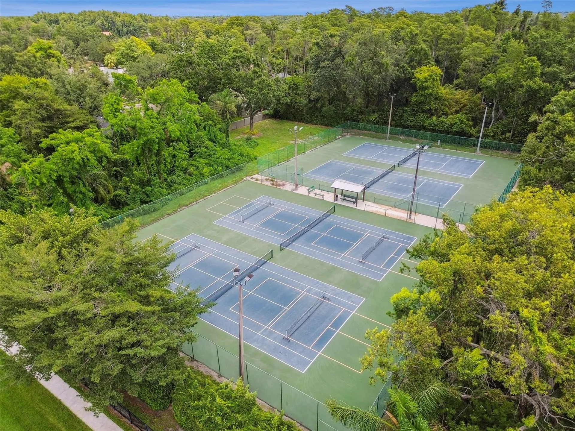 3106 Lake Ellen Drive Tampa FL 33618