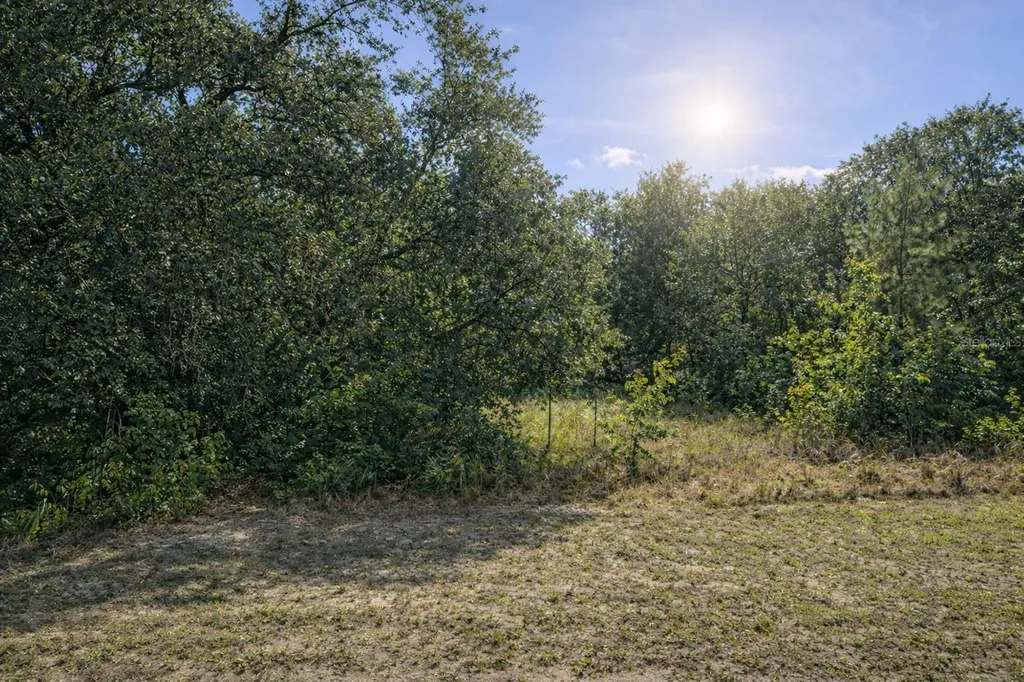 4375 SW 194th Avenue Dunnellon FL 34432