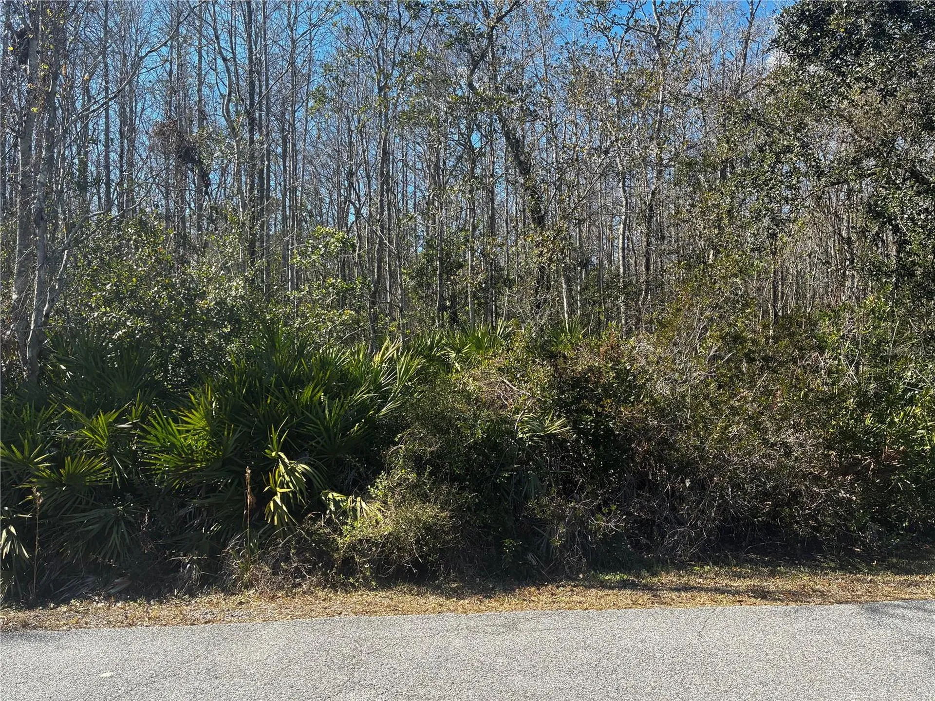 1214 Murdock Boulevard Orlando FL 32825