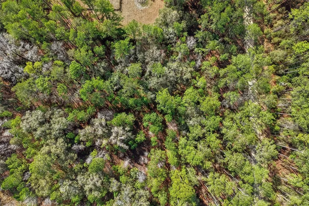 0 SW 150 Court Ocala FL 34481