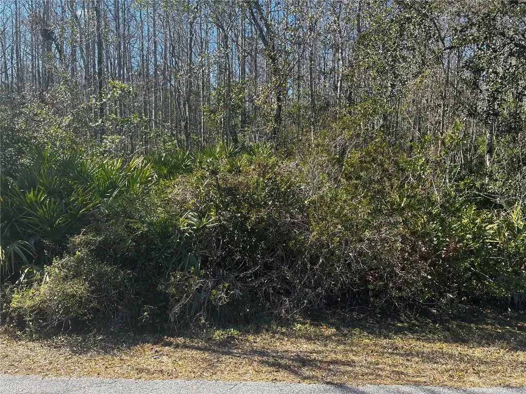 1228 Murdock Boulevard Orlando FL 32825