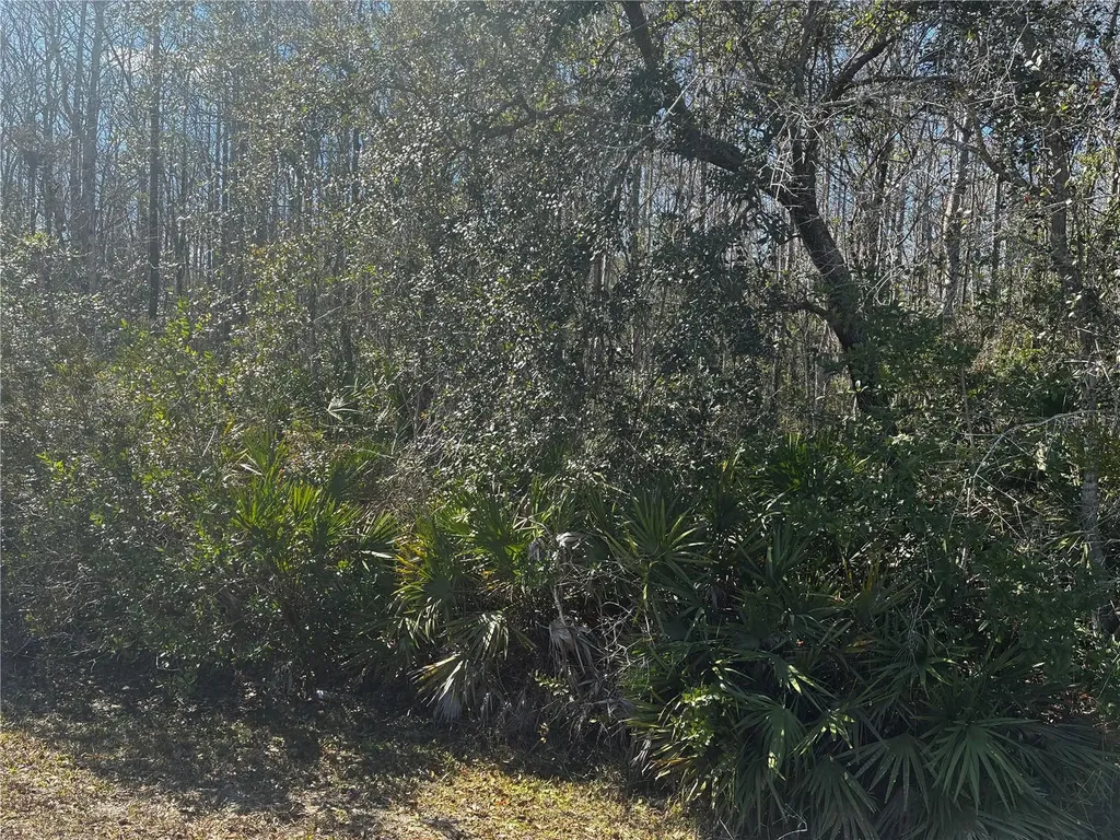 1228 Murdock Boulevard Orlando FL 32825