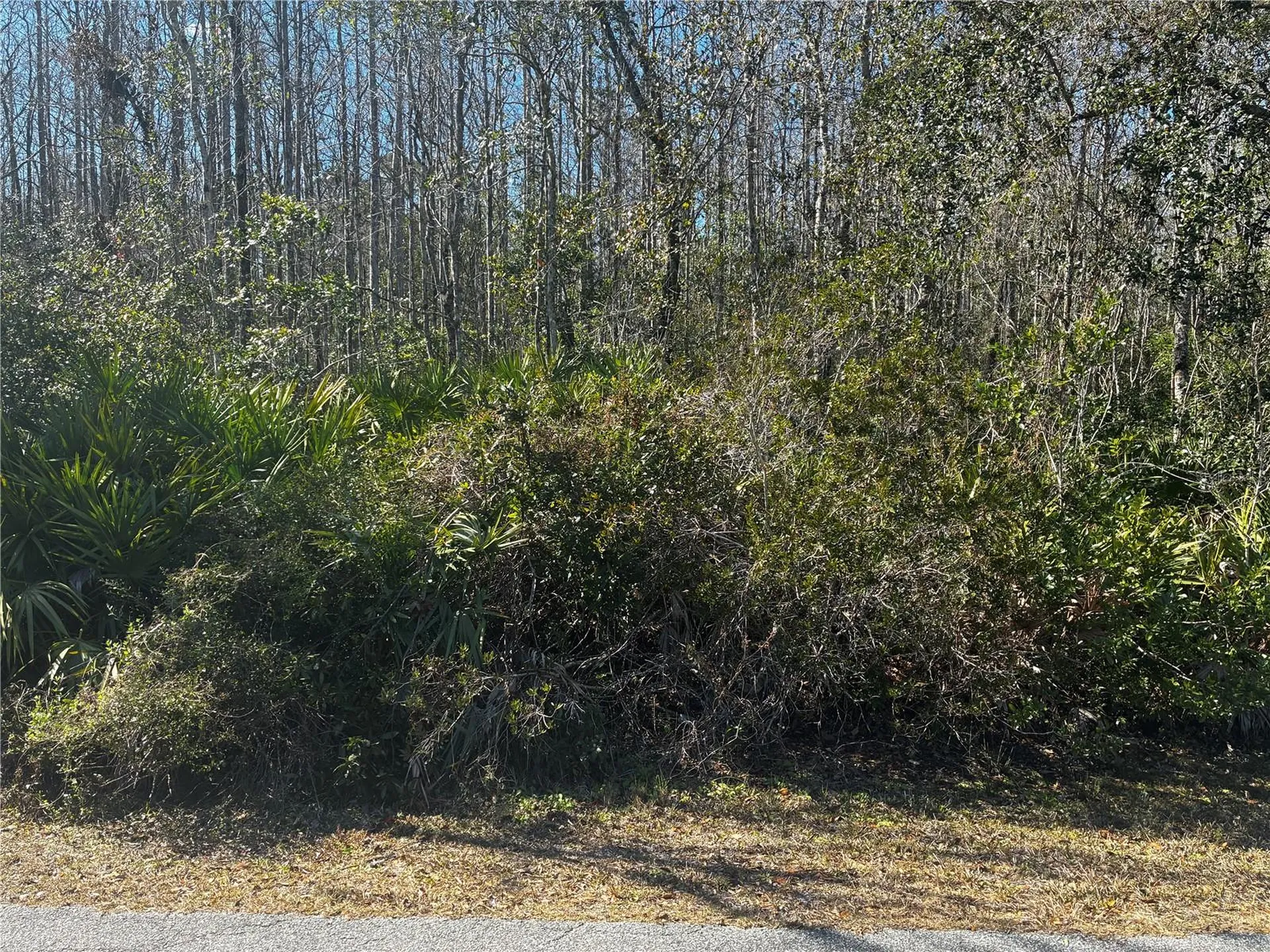 1228 Murdock Boulevard Orlando FL 32825