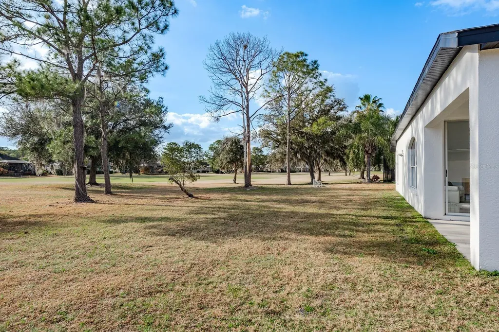 5345 Bold Venture Place Wesley Chapel FL 33544