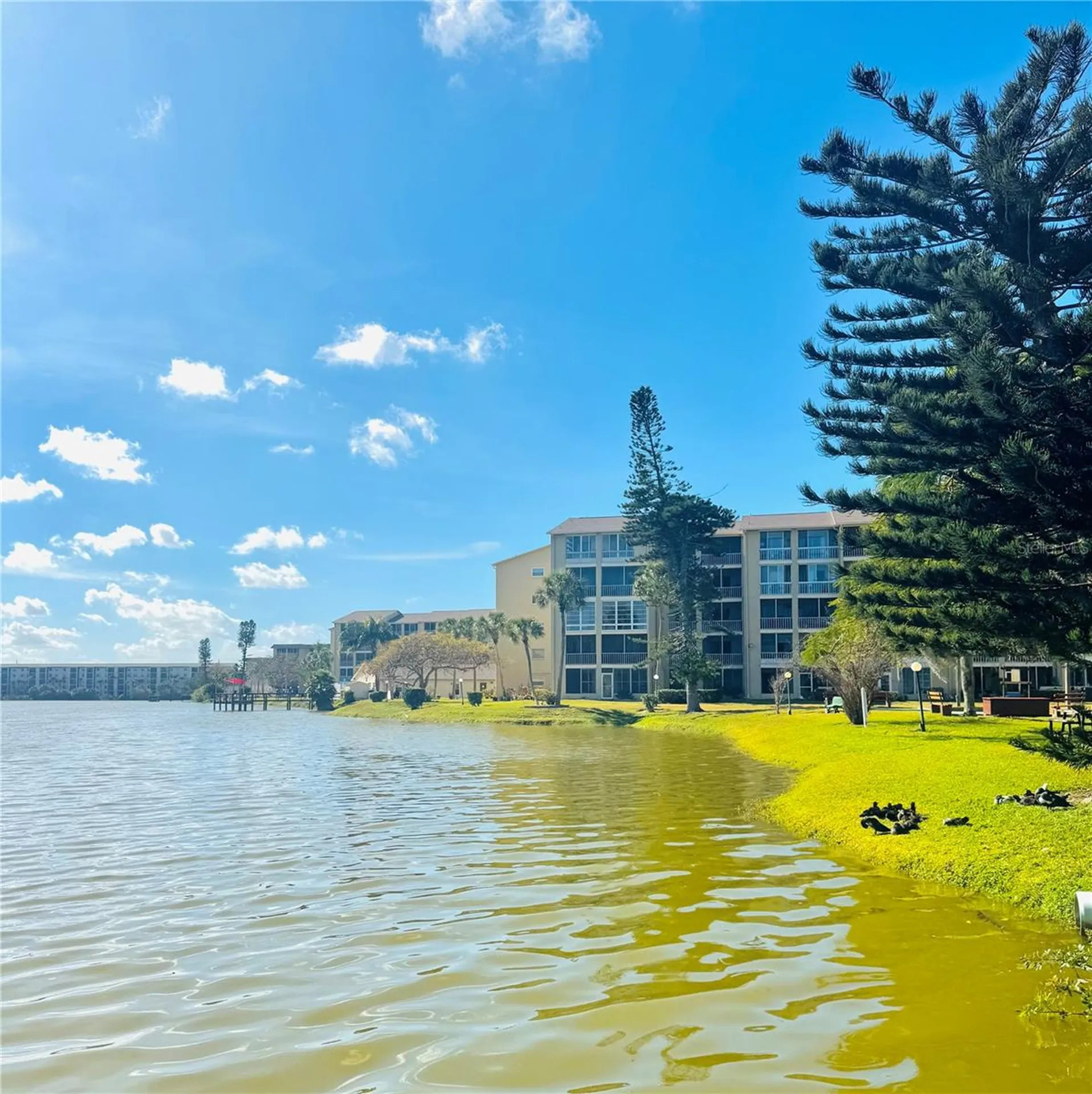 3710 Lake Bayshore Drive Bradenton FL 34205