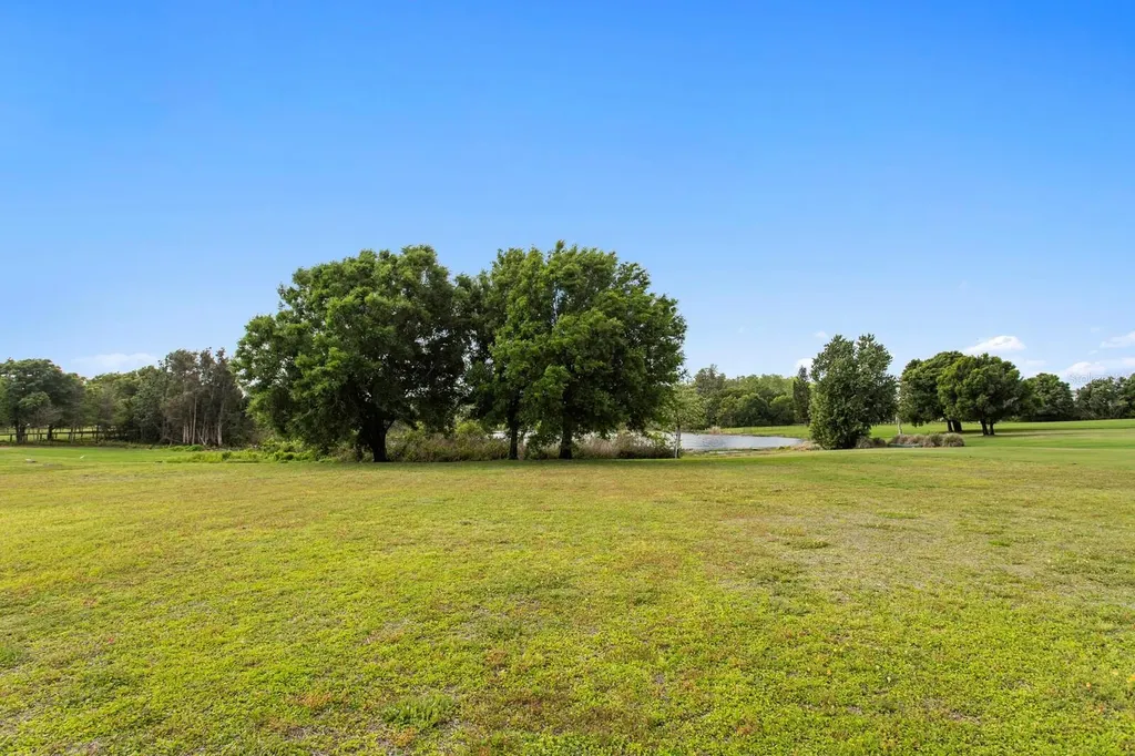 17253 Breeders Cup Drive Odessa FL 33556