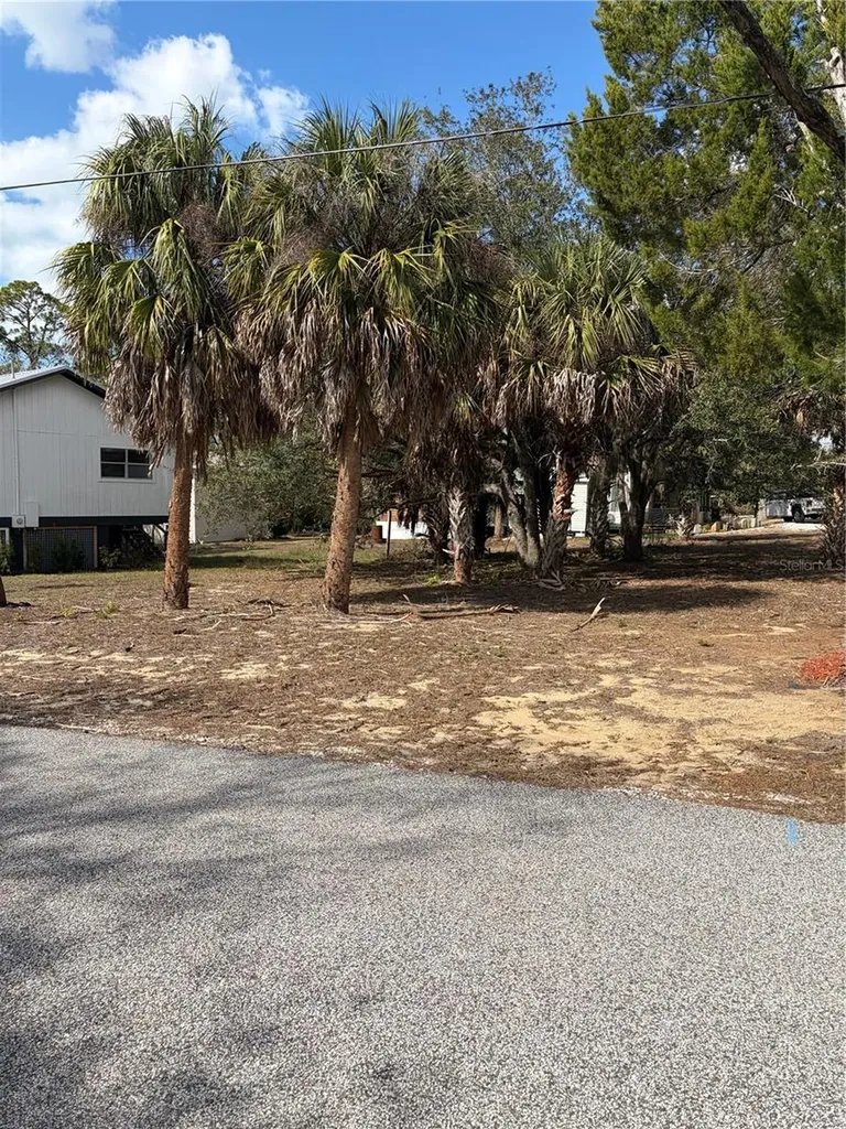 0 Fishman Avenue Weeki Wachee FL 34607