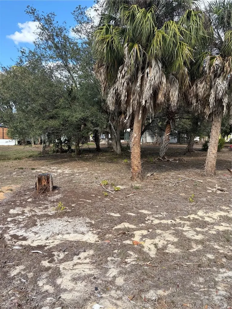0 Fishman Avenue Weeki Wachee FL 34607