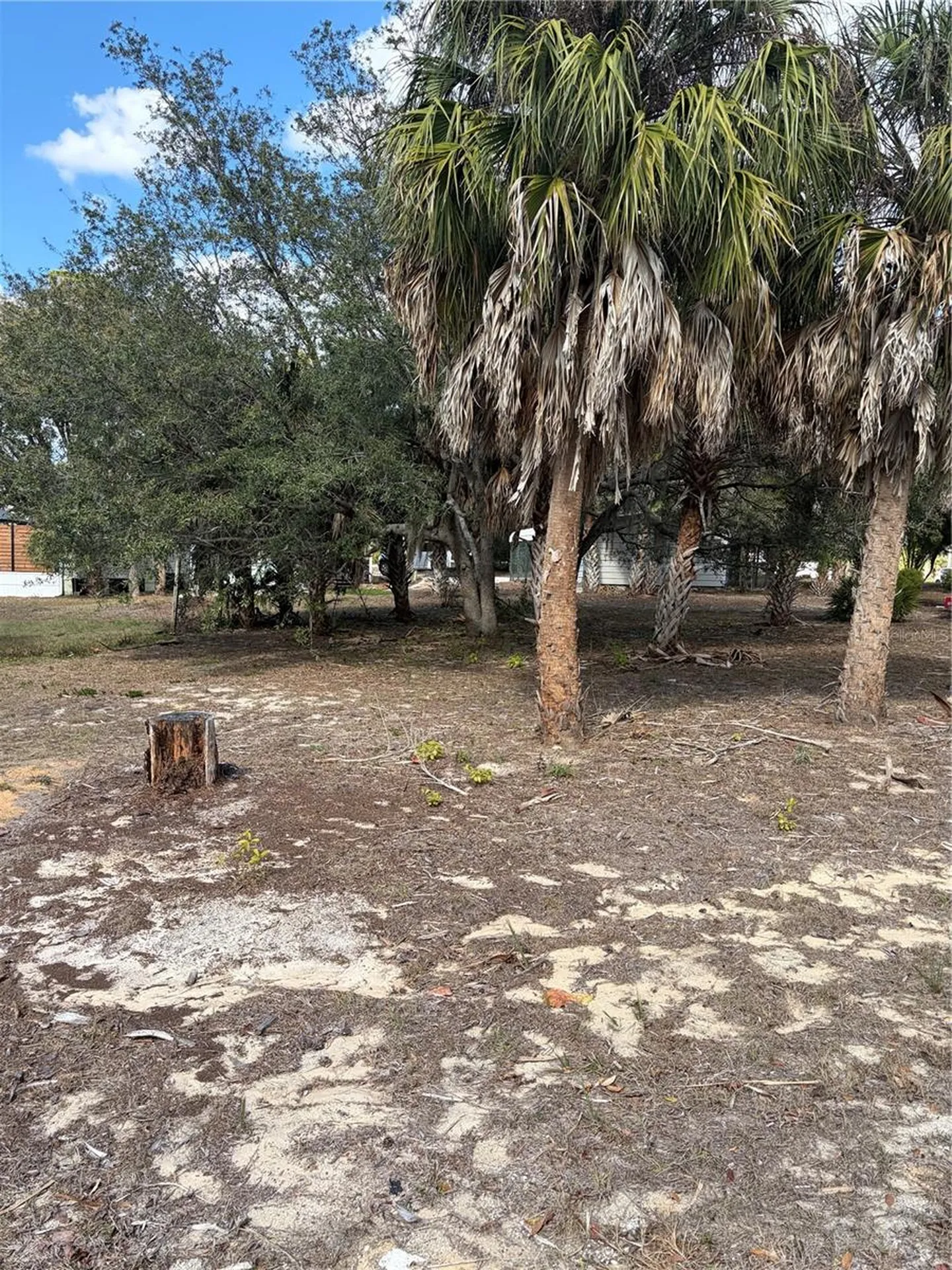 0 Fishman Avenue Weeki Wachee FL 34607