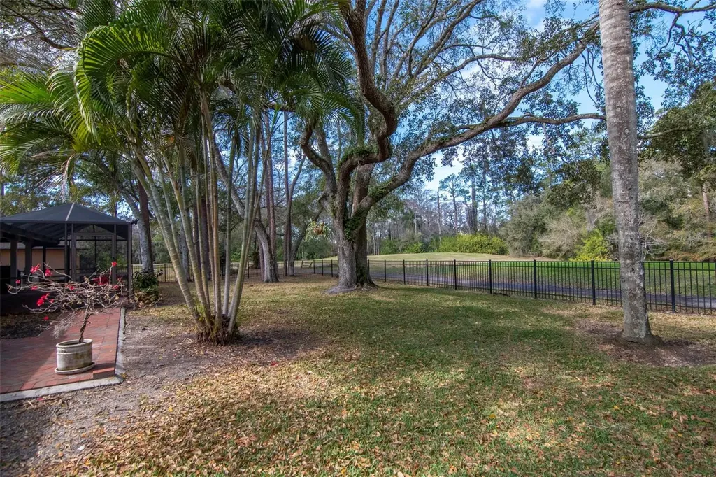 2240 Toniwood Lane Palm Harbor FL 34685