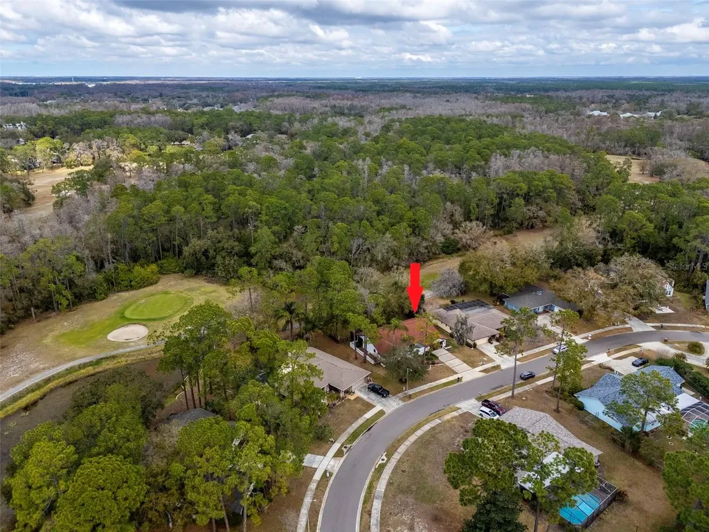 2240 Toniwood Lane Palm Harbor FL 34685
