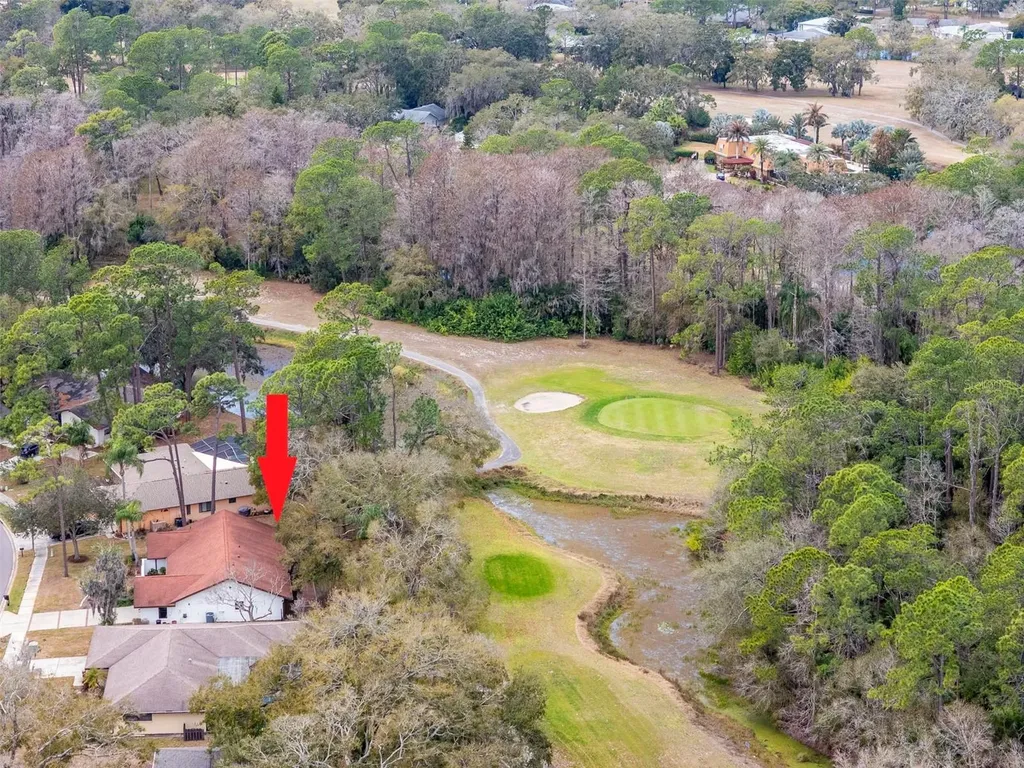 2240 Toniwood Lane Palm Harbor FL 34685