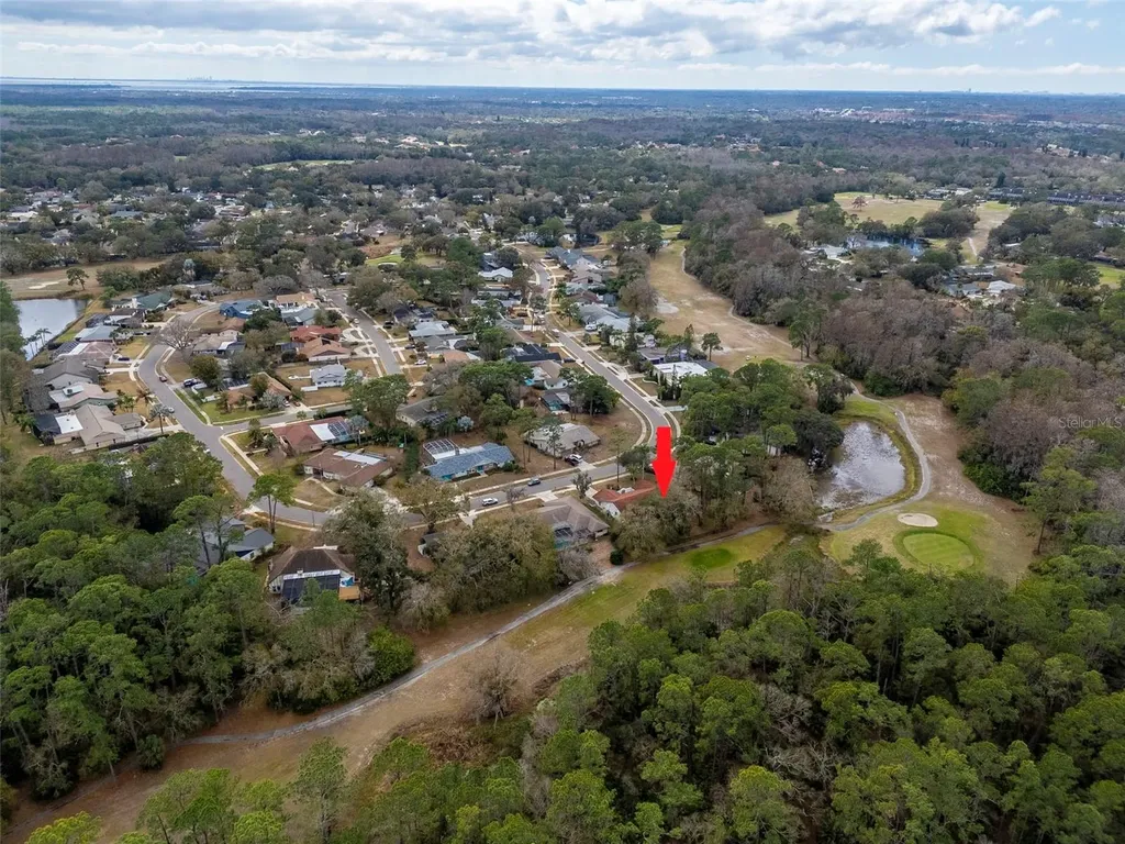 2240 Toniwood Lane Palm Harbor FL 34685