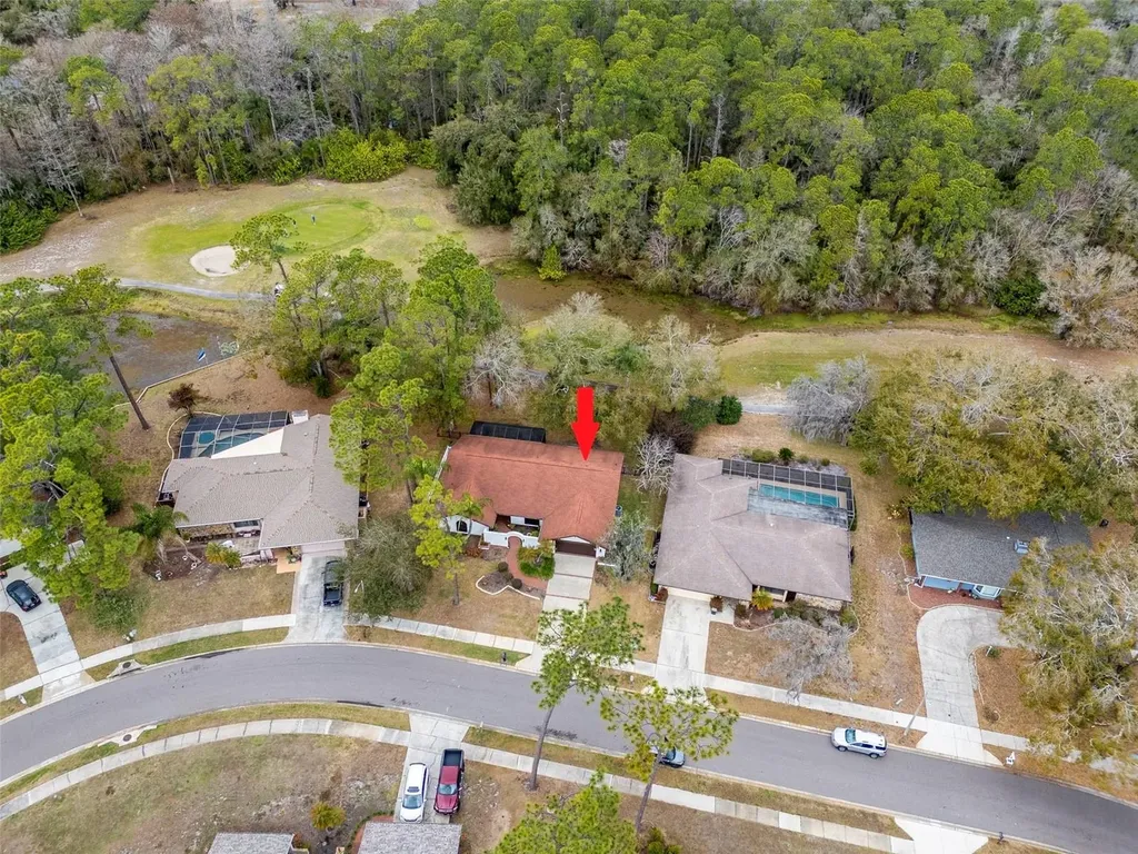 2240 Toniwood Lane Palm Harbor FL 34685