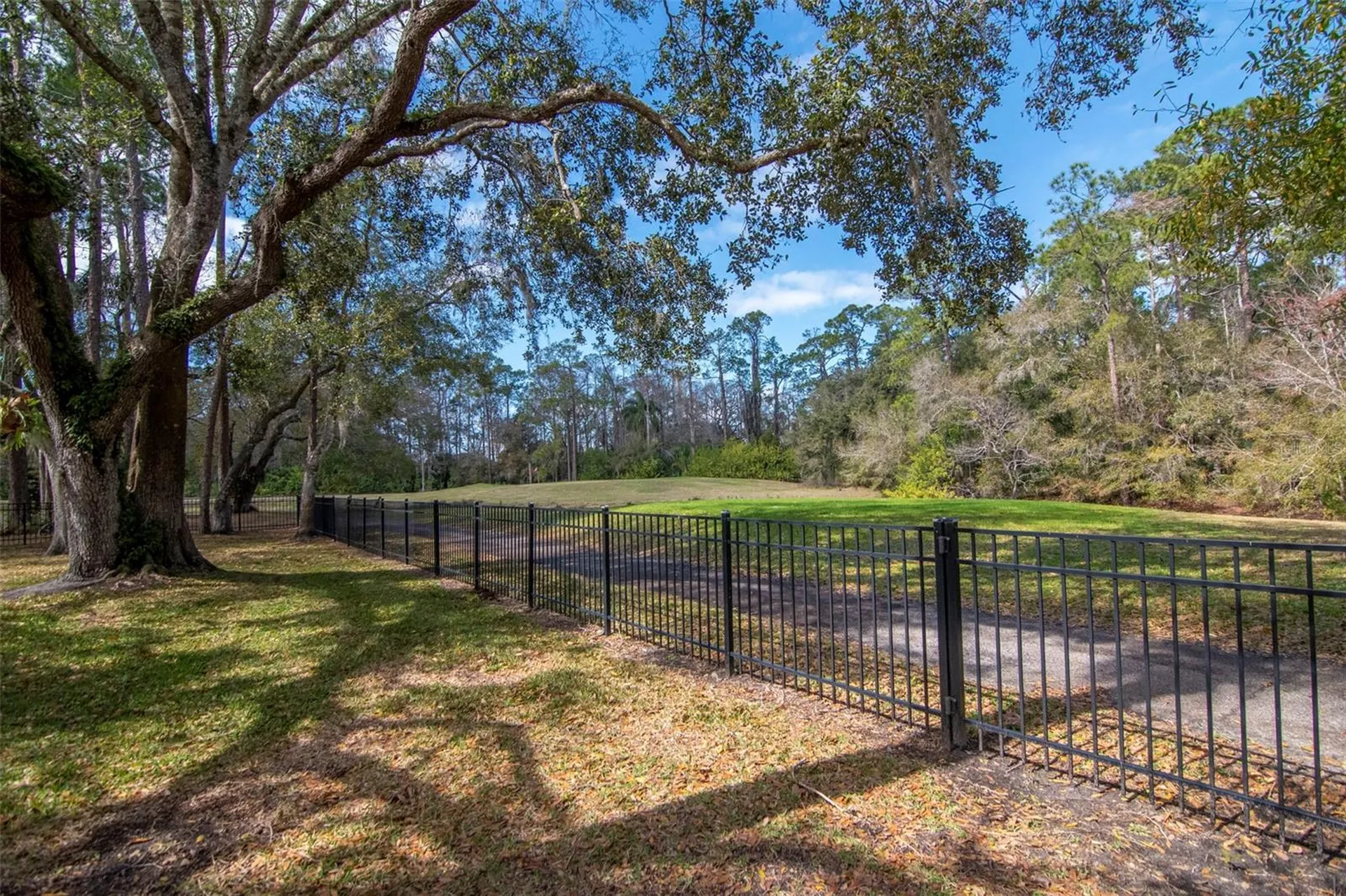 2240 Toniwood Lane Palm Harbor FL 34685