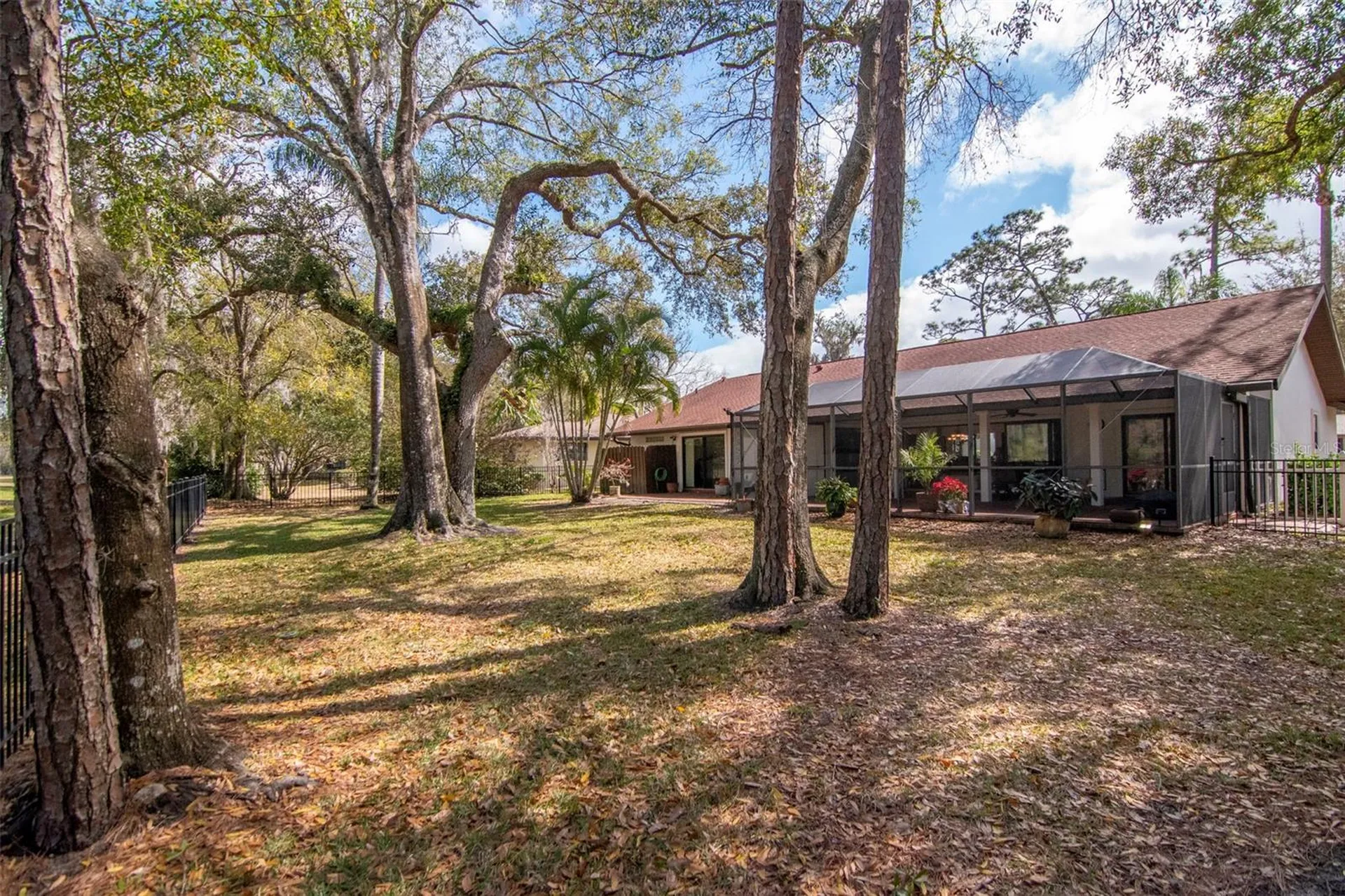 2240 Toniwood Lane Palm Harbor FL 34685