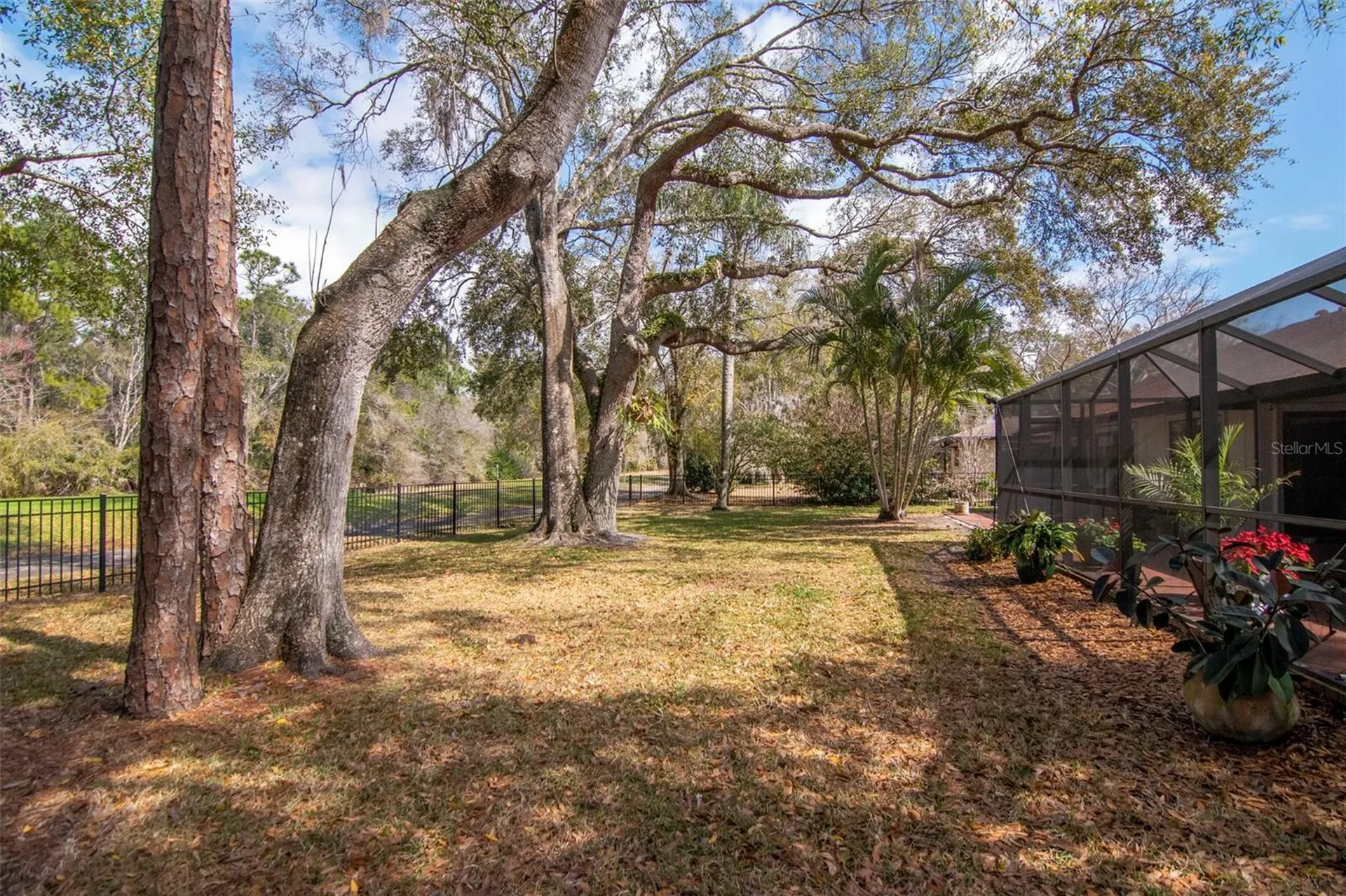 2240 Toniwood Lane Palm Harbor FL 34685