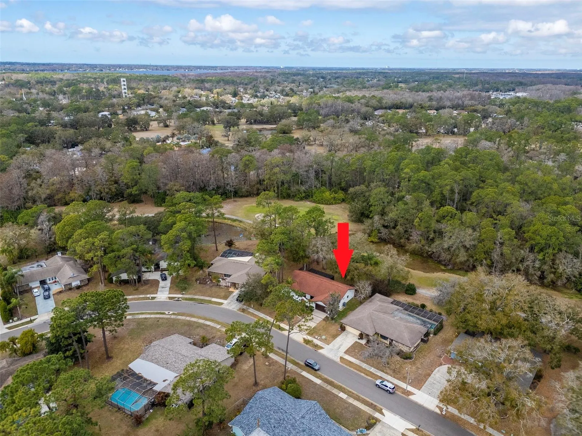 2240 Toniwood Lane Palm Harbor FL 34685