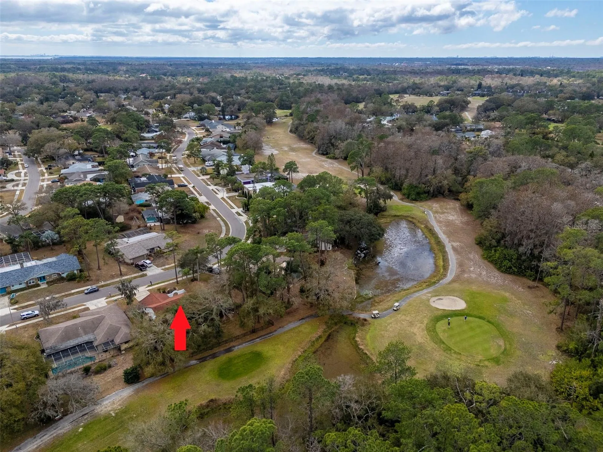 2240 Toniwood Lane Palm Harbor FL 34685