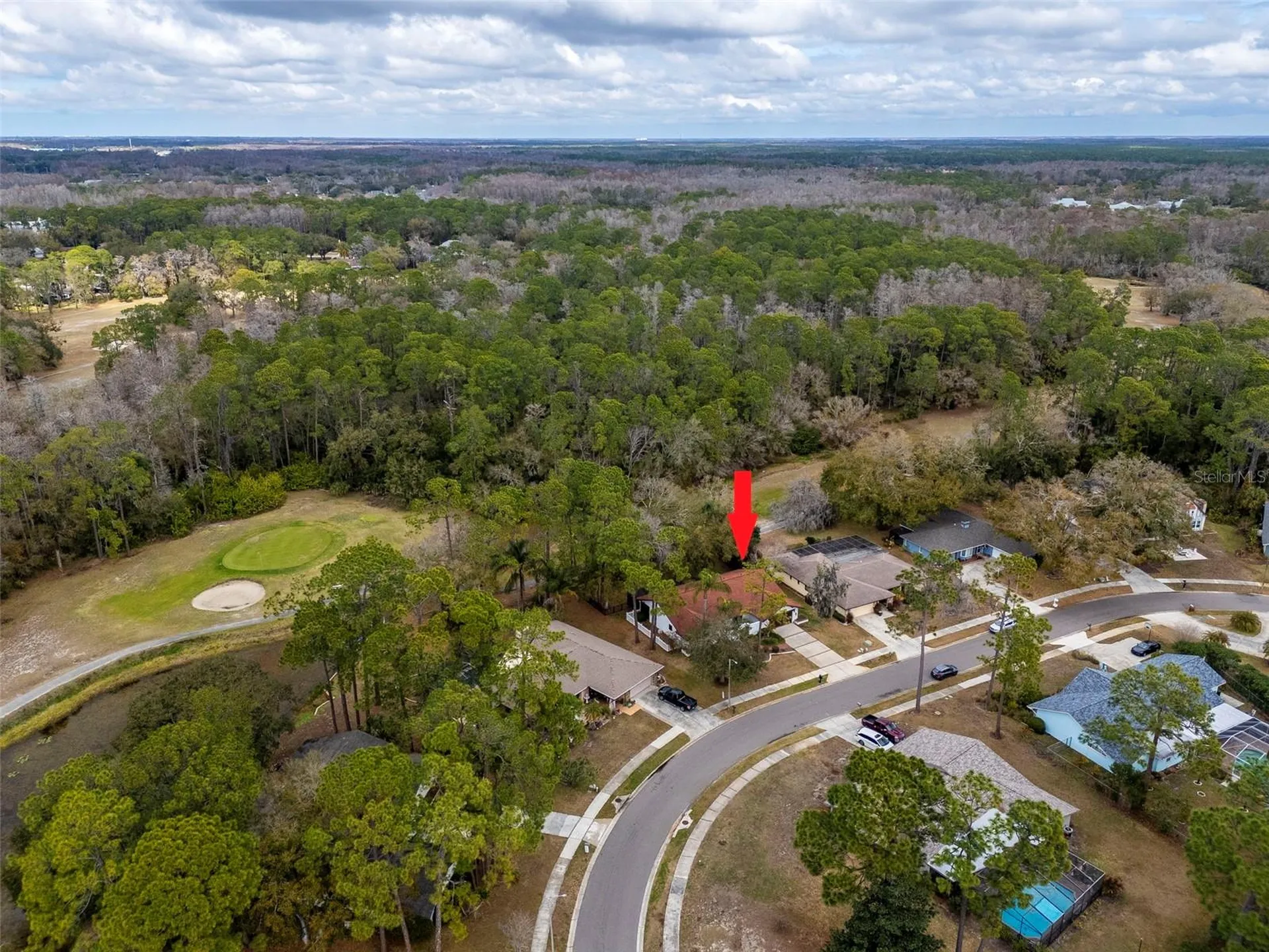 2240 Toniwood Lane Palm Harbor FL 34685