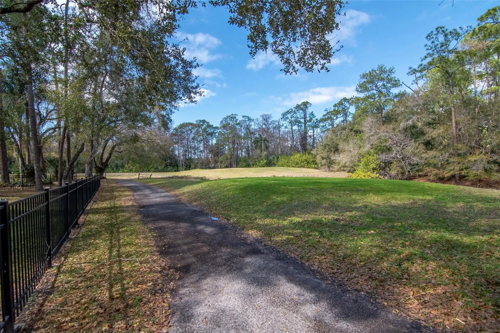 2240 Toniwood Lane Palm Harbor FL 34685