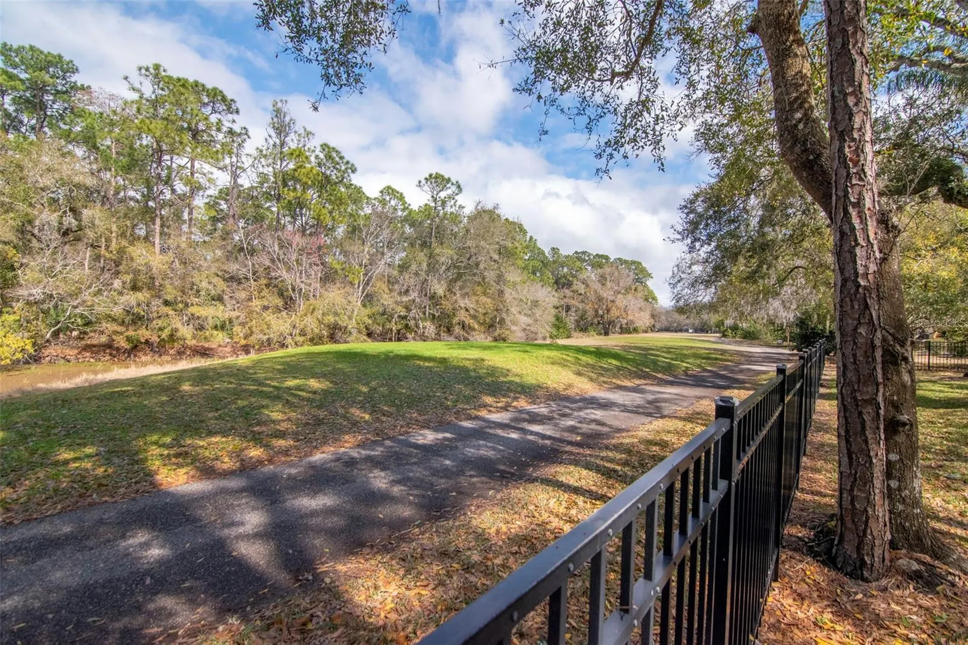 2240 Toniwood Lane Palm Harbor FL 34685