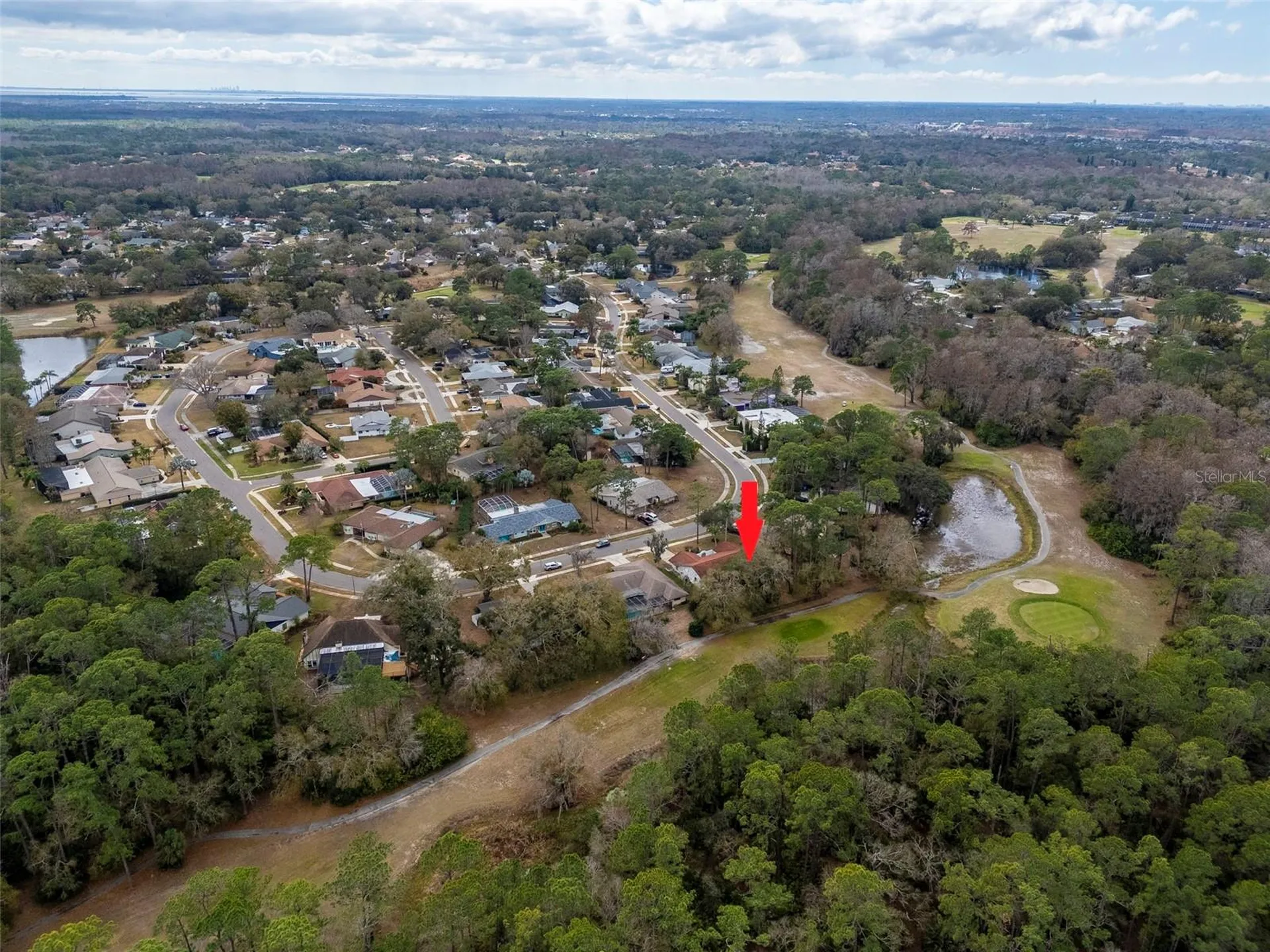 2240 Toniwood Lane Palm Harbor FL 34685