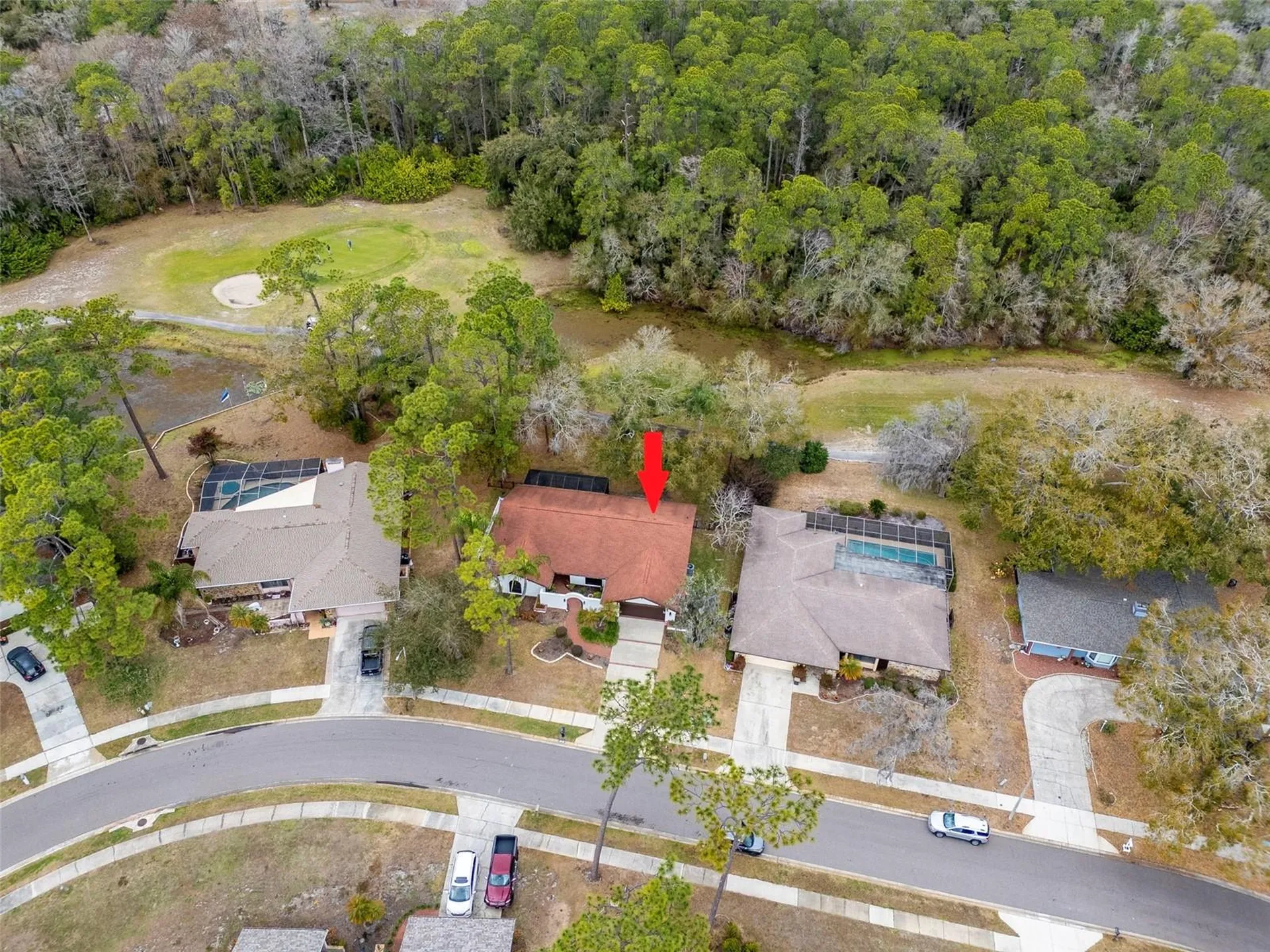 2240 Toniwood Lane Palm Harbor FL 34685