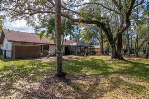 2240 Toniwood Lane Palm Harbor FL 34685
