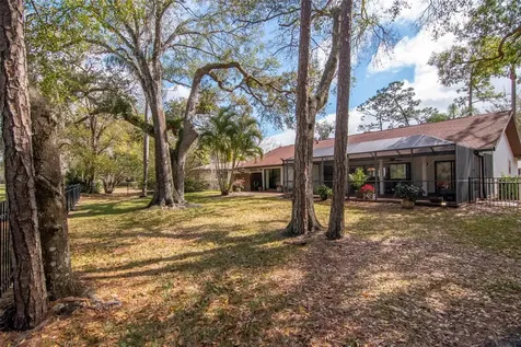 2240 Toniwood Lane Palm Harbor FL 34685