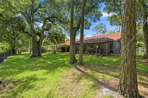 2240 Toniwood Lane Palm Harbor FL 34685