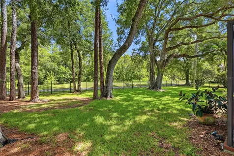 2240 Toniwood Lane Palm Harbor FL 34685
