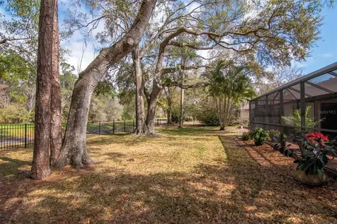 2240 Toniwood Lane Palm Harbor FL 34685
