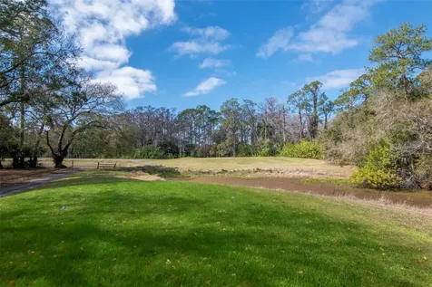 2240 Toniwood Lane Palm Harbor FL 34685