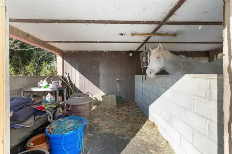 825 NE 165th Street Citra FL 32113