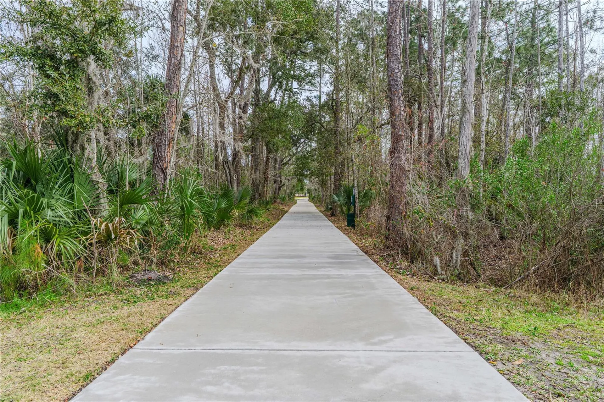 3102 Meleto Boulevard New Smyrna Beach FL 32168
