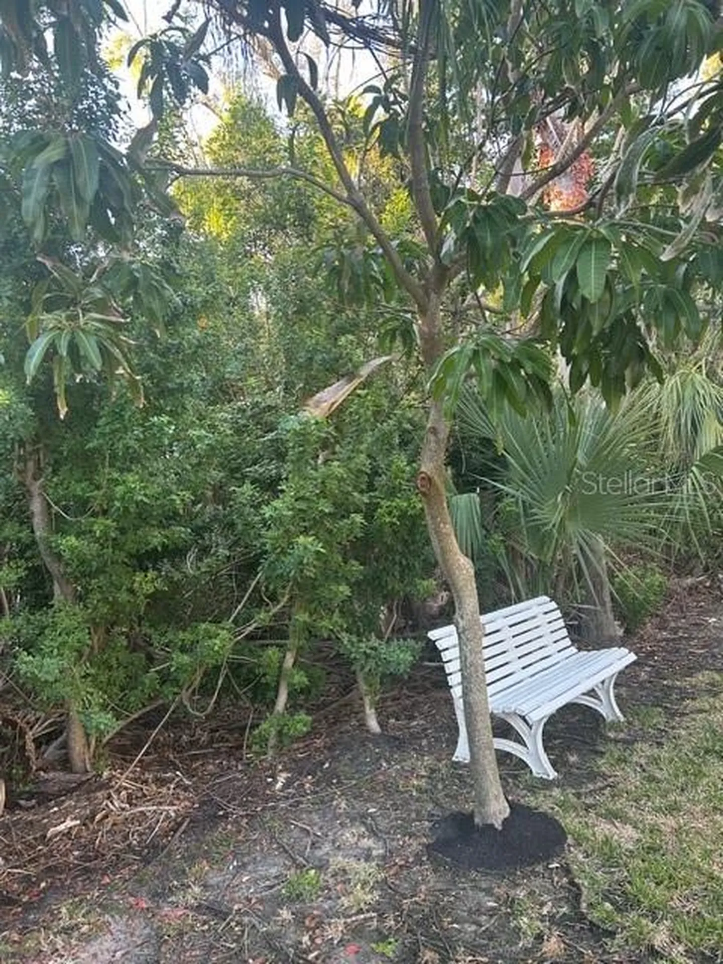 13311 72nd Terrace N Seminole FL 33776