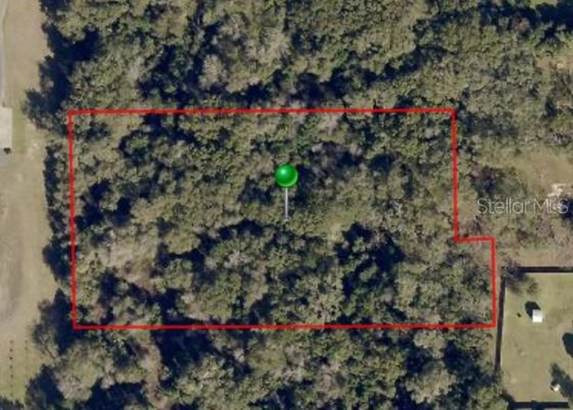S Adelle Deland FL 32720