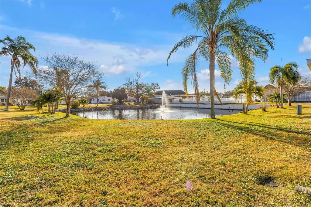 10007 Daffodil Street N Pinellas Park FL 33782