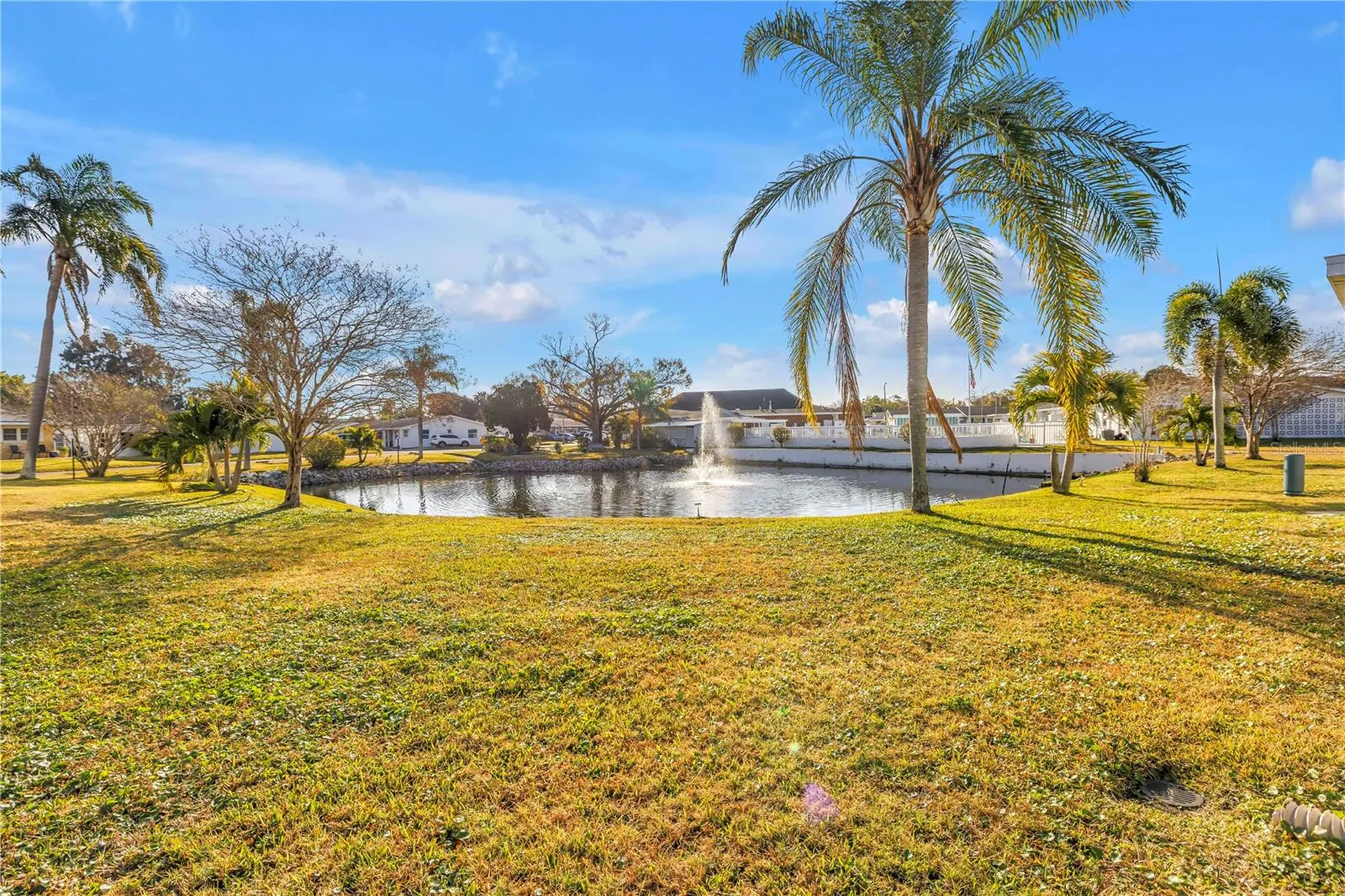 10007 Daffodil Street N Pinellas Park FL 33782