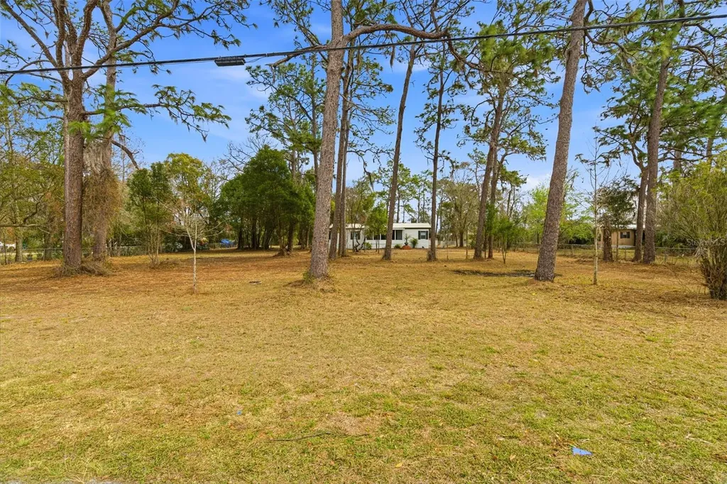 3906 Fox Ridge Boulevard Wesley Chapel FL 33543