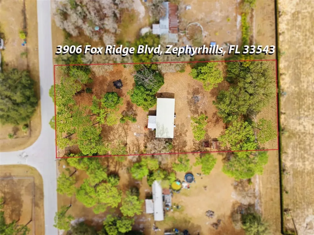 3906 Fox Ridge Boulevard Wesley Chapel FL 33543