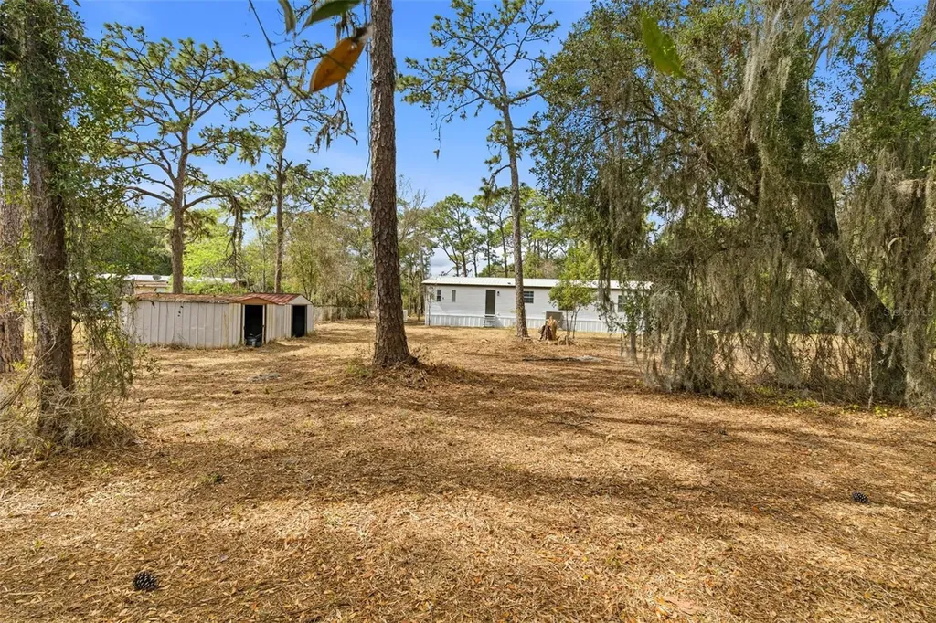 3906 Fox Ridge Boulevard Wesley Chapel FL 33543