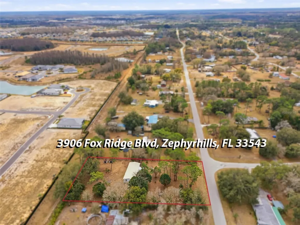 3906 Fox Ridge Boulevard Wesley Chapel FL 33543